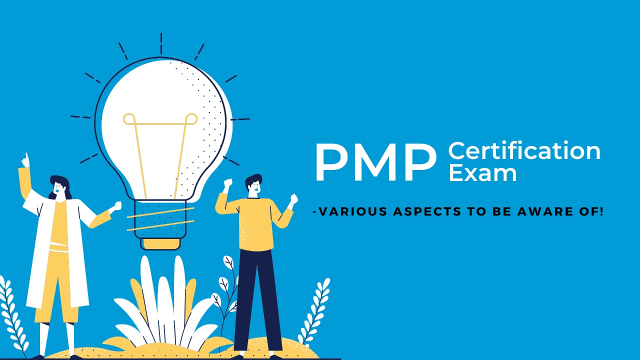 pmp meaning in business