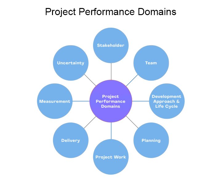 Performance project. Project Team as a stakeholder.