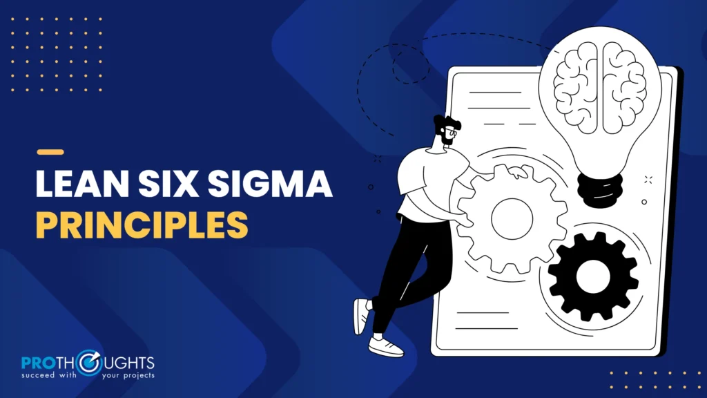 Lean Six Sigma Principles